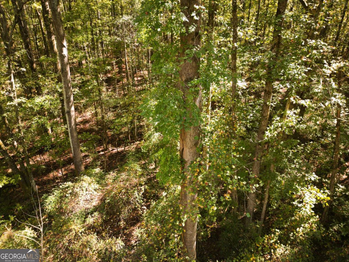 1092 Cooper Gin Road Statham, GA 30666 - Photo 4 of 12