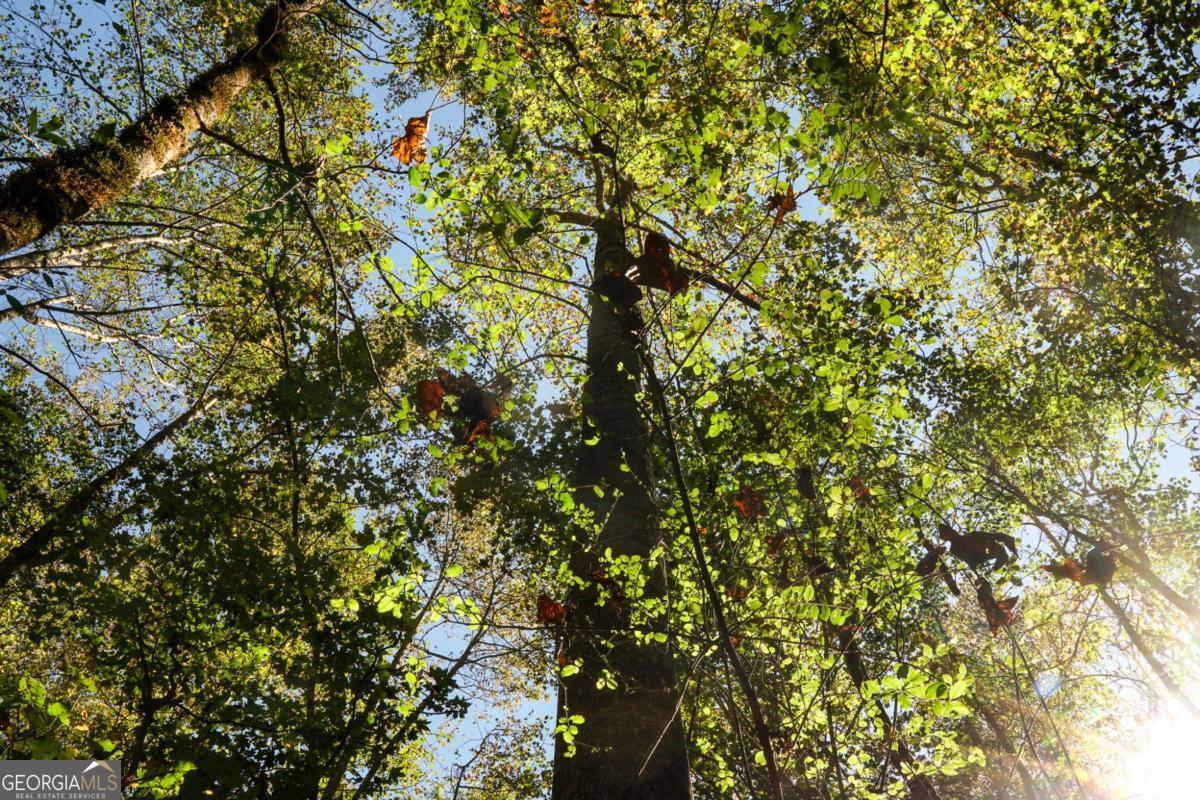 1092 Cooper Gin Road Statham, GA 30666 - Photo 5 of 12