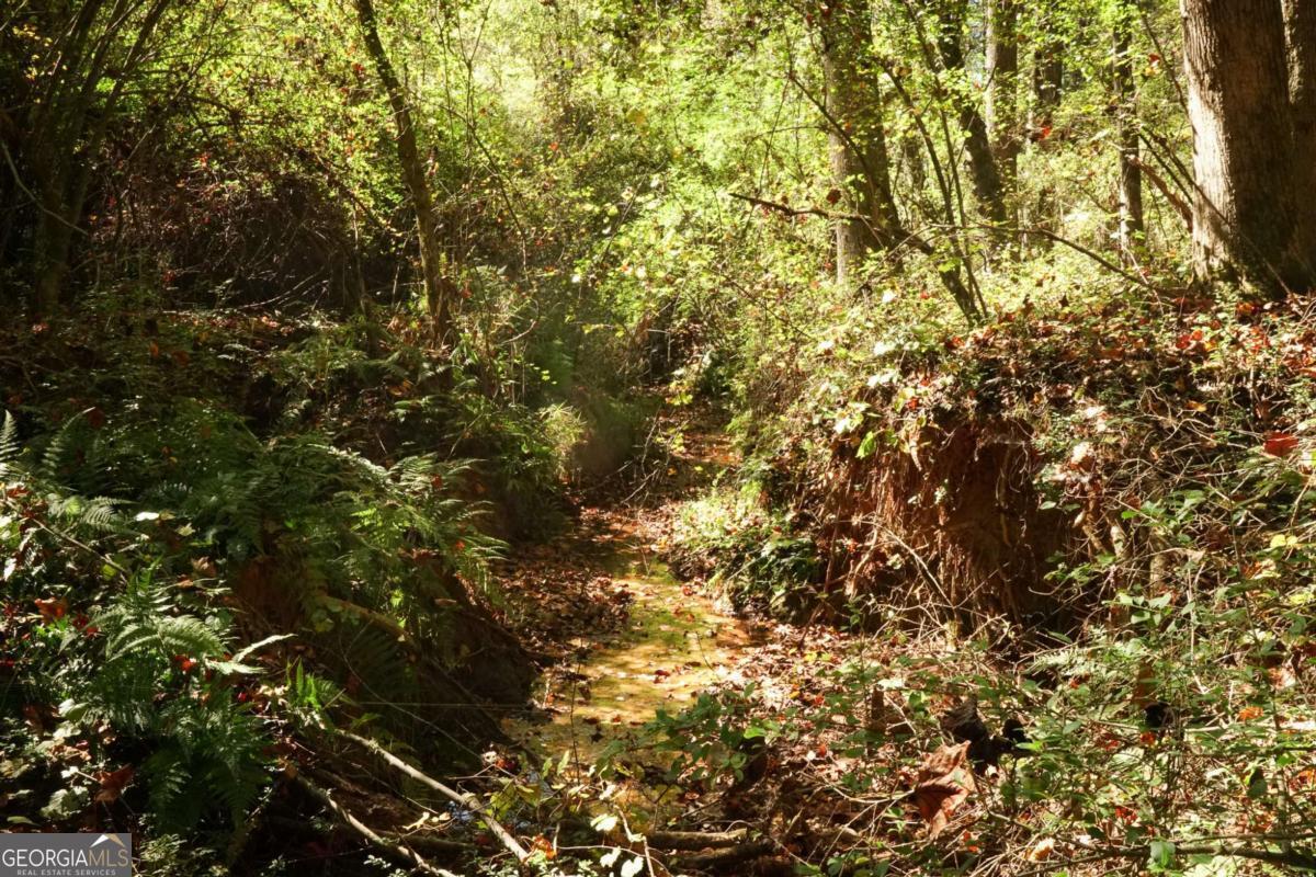 1092 Cooper Gin Road Statham, GA 30666 - Photo 6 of 12