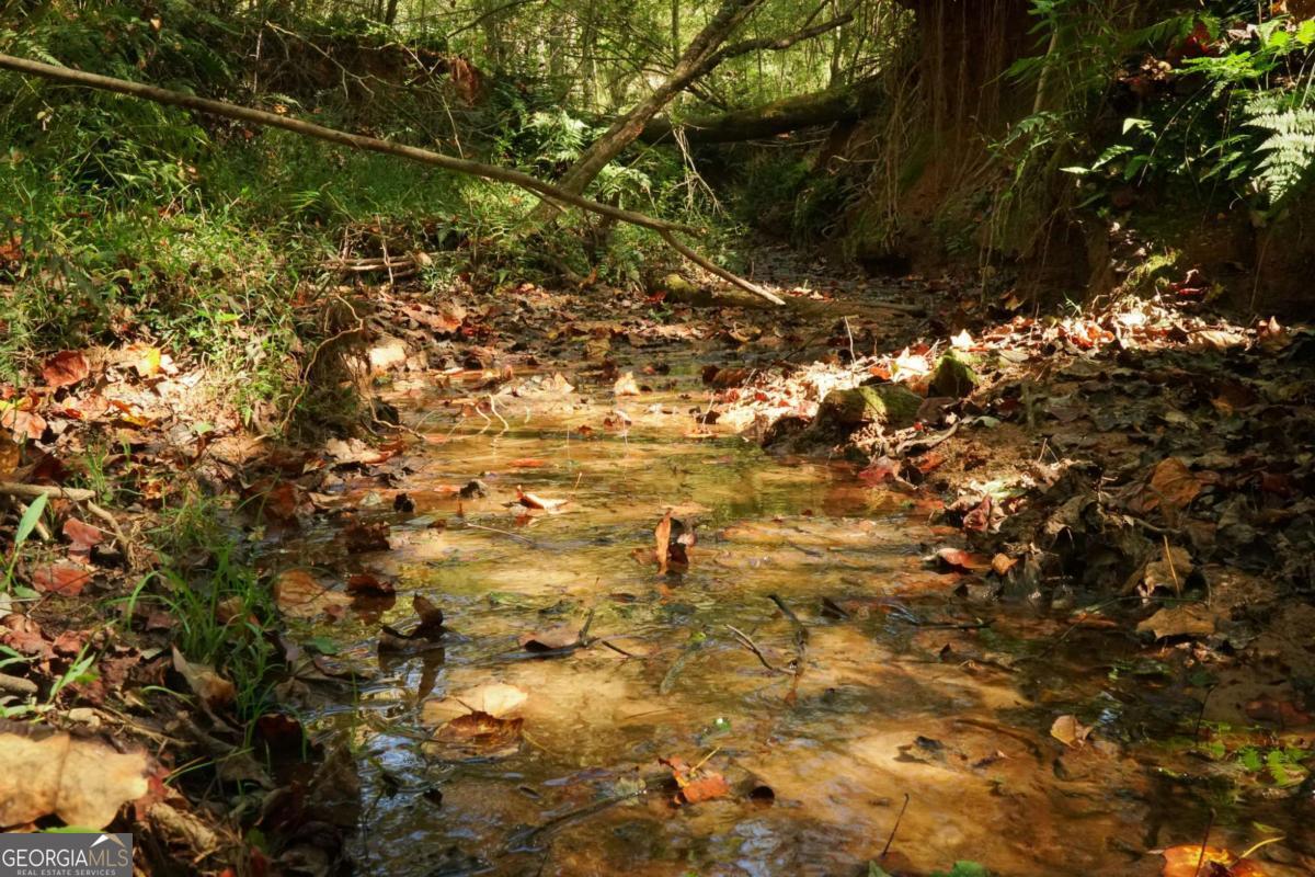 1092 Cooper Gin Road Statham, GA 30666 - Photo 7 of 12