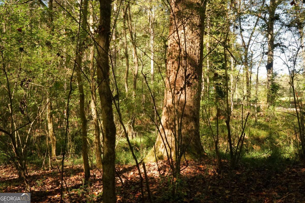 1092 Cooper Gin Road Statham, GA 30666 - Photo 8 of 12