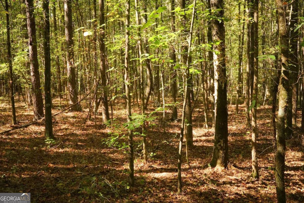 1092 Cooper Gin Road Statham, GA 30666 - Photo 10 of 12