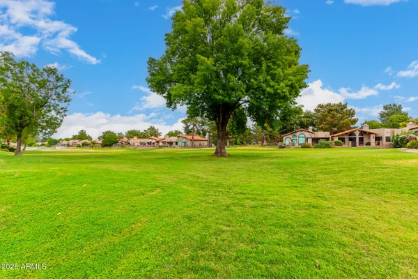 a view of yard with outdoor space
