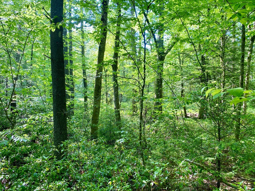Lot 5 Emerald Road Rutland, MA 01543 - Photo 8 of 9