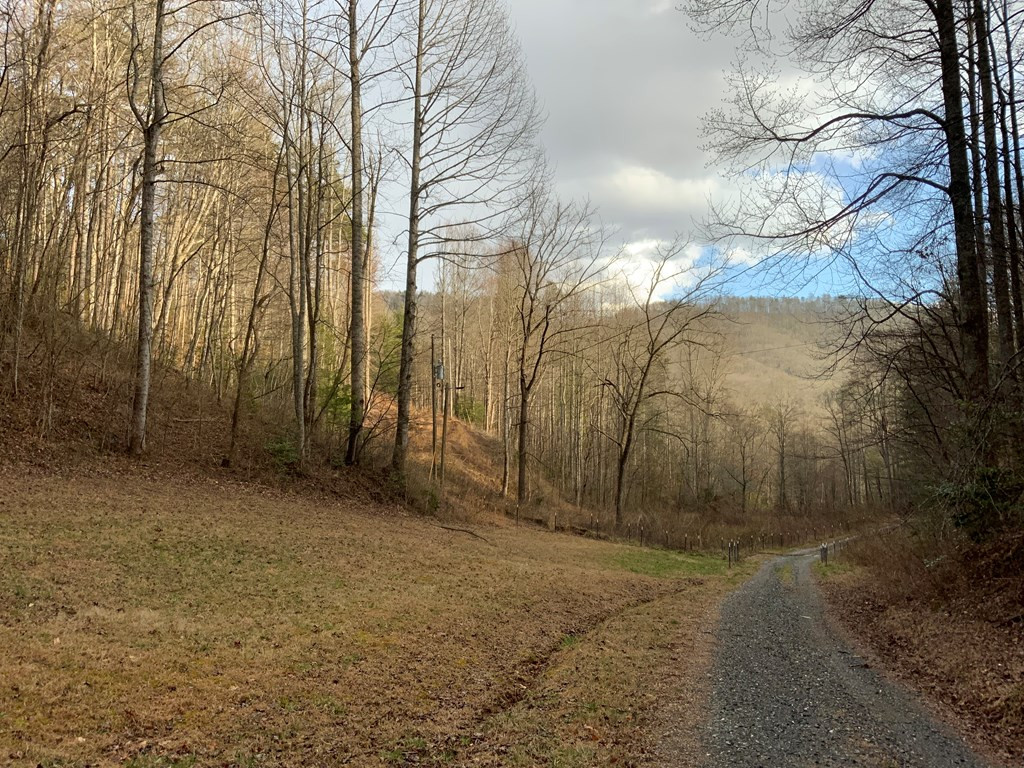 Lot 16 Ivy Log Road Warne, NC 28909 - Photo 5 of 16