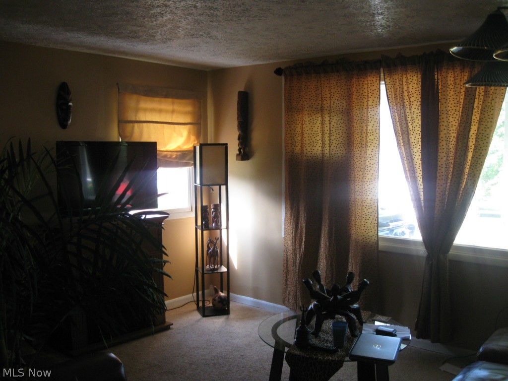 6533 Beaver Road Ravenna, OH 44266 - Photo 4 of 9 Gallery Image 4
