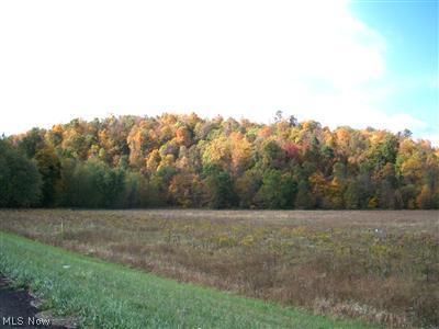 Shoemaker Rd Port Southwest Port Washington, OH 43837 - Photo 1 of 1 Gallery Image 1