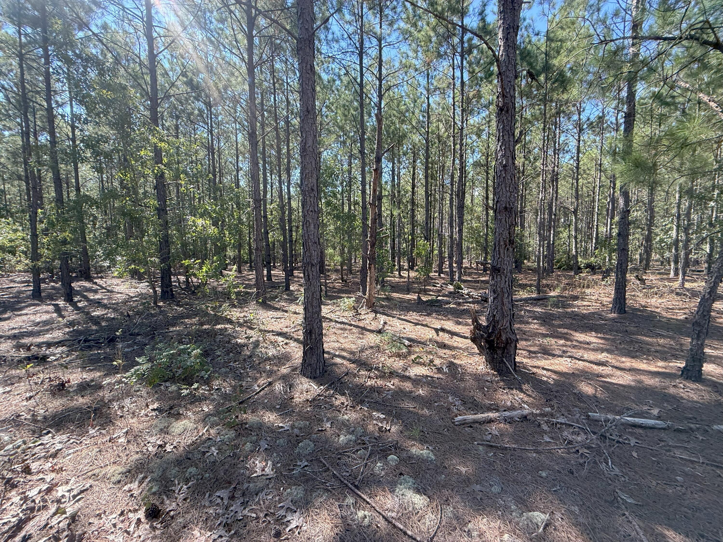 9 Providence Road, Unit KF 9 Kershaw, SC 29067 - Photo 13 of 15 IMG_2773