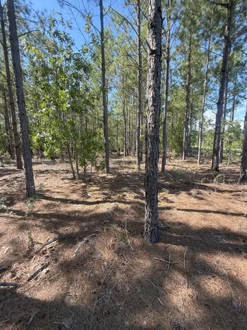 $33,900 | 9 Providence Road, Unit KF 9, Kershaw, SC 29067