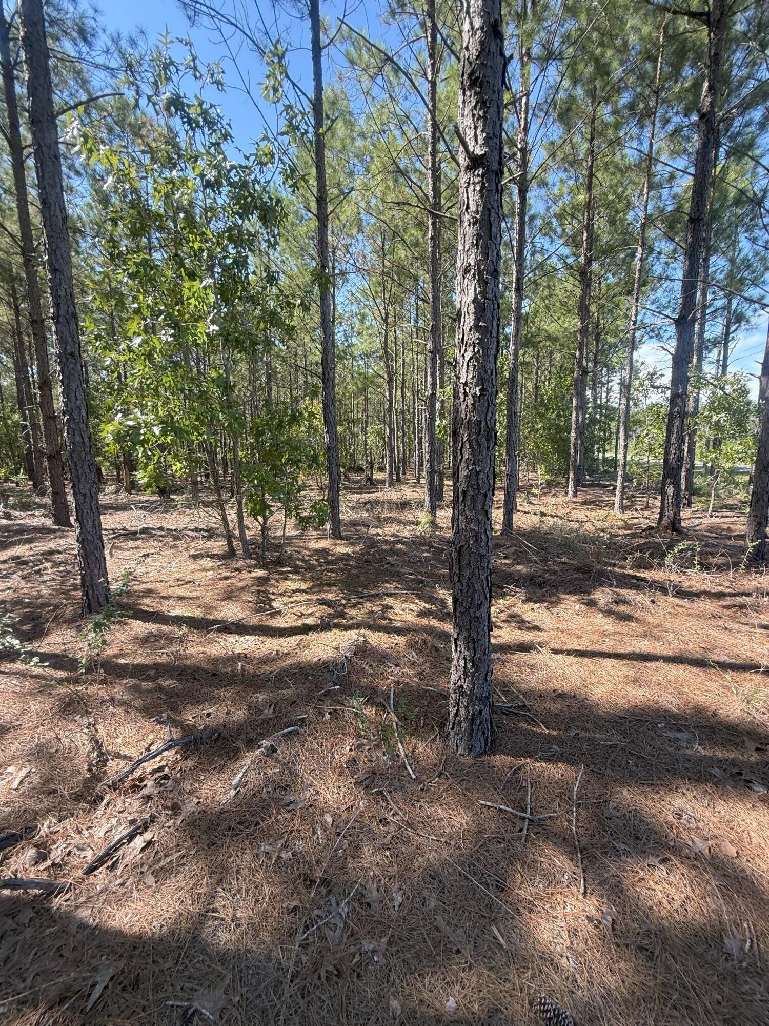 9 Providence Road, Unit KF 9 Kershaw, SC 29067 - Photo 15 of 15 IMG_2768