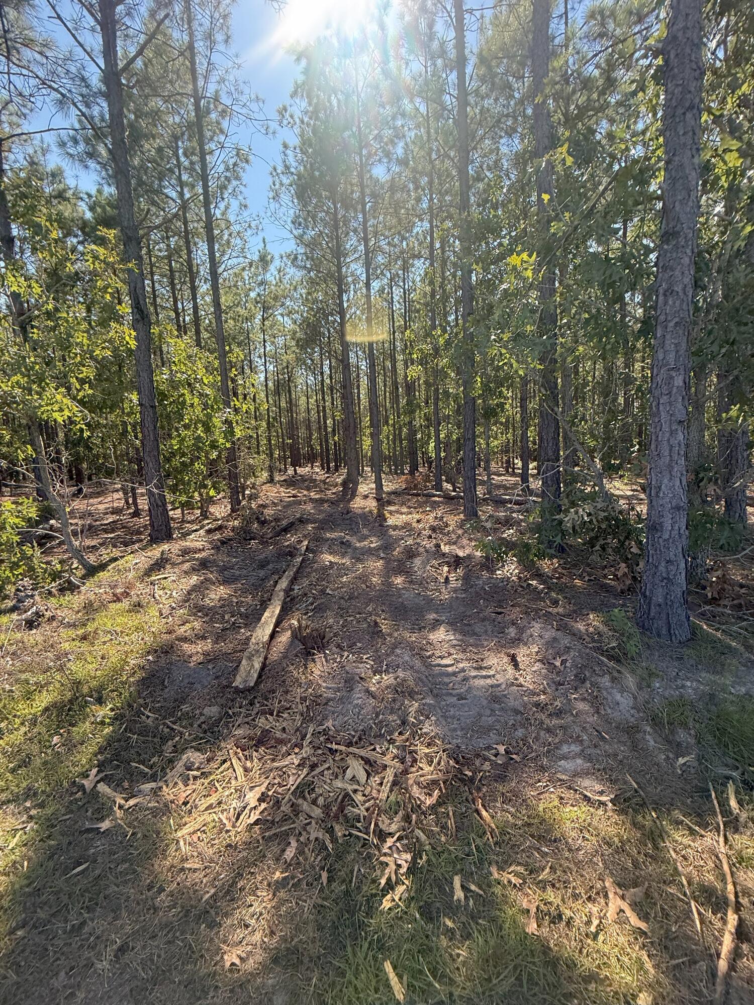 9 Providence Road, Unit KF 9 Kershaw, SC 29067 - Photo 3 of 15 IMG_2779