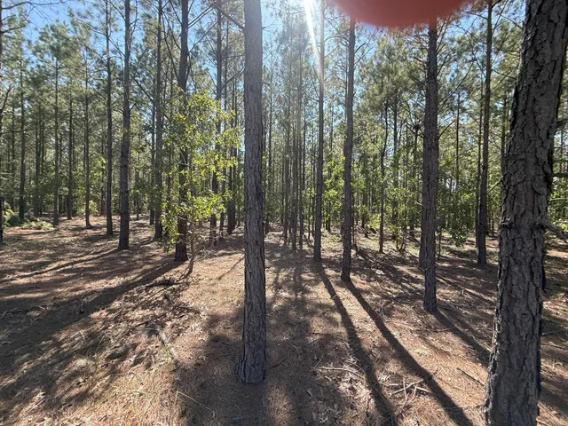 $33,900 | 9 Providence Road, Unit KF 9, Kershaw, SC 29067