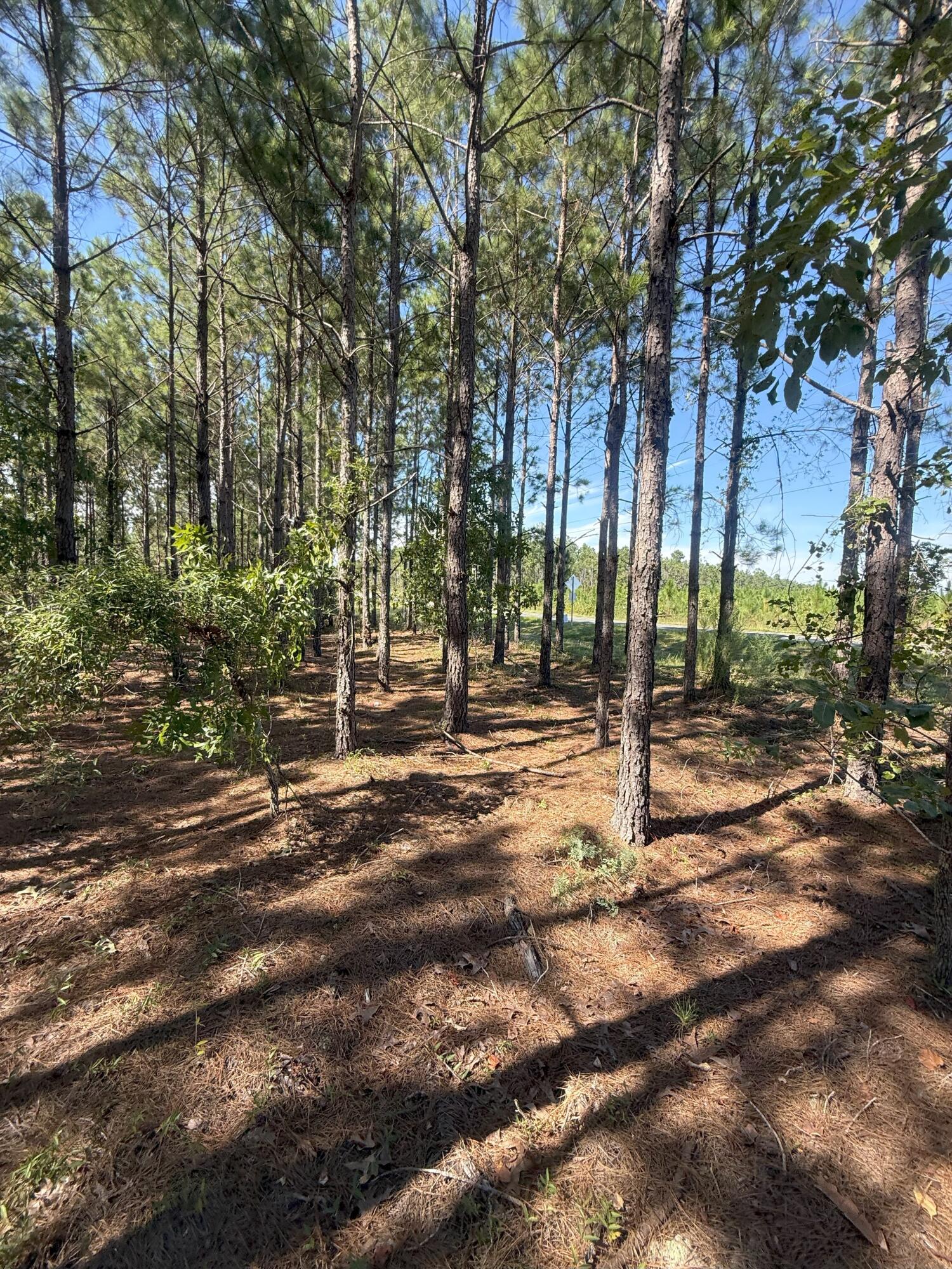 9 Providence Road, Unit KF 9 Kershaw, SC 29067 - Photo 8 of 15 IMG_2787