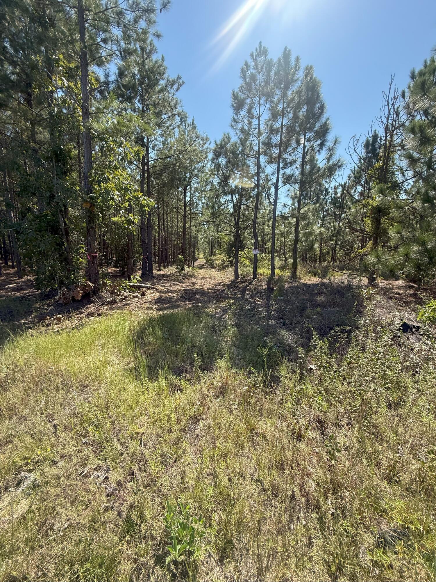 9 Providence Road, Unit KF 9 Kershaw, SC 29067 - Photo 10 of 15 IMG_2793