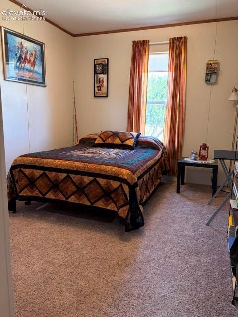 8084 Oak Drive Rye, CO 81069 - Photo 25 of 39 1st bedroom, carpeted