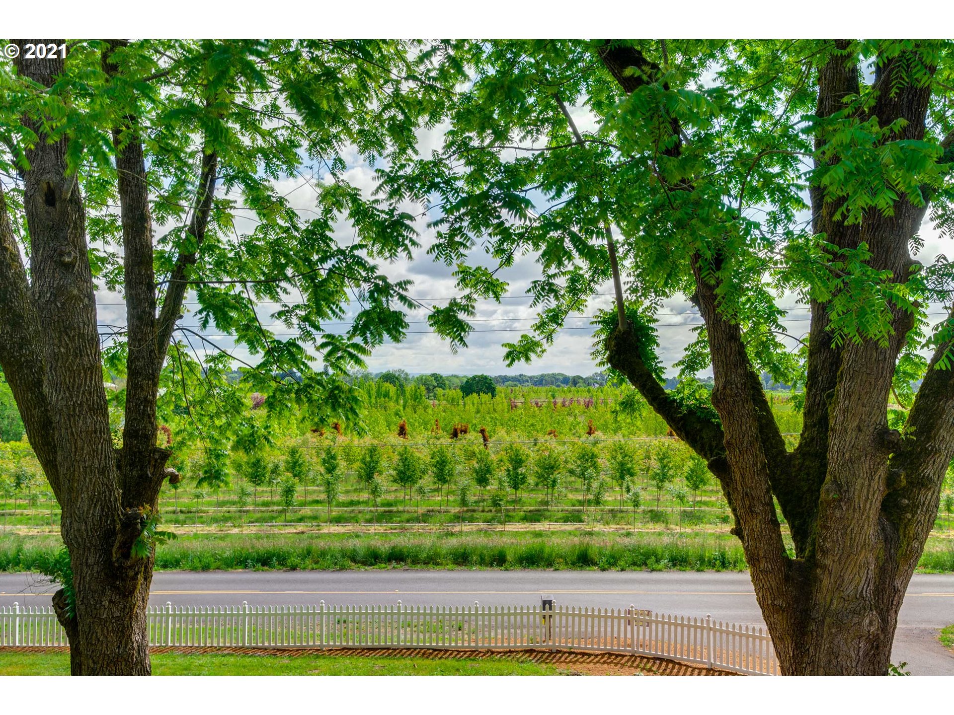2559 Southwest Dilley Road Forest Grove, OR 97116 - Photo 24 of 32 a view of outdoor space with garden