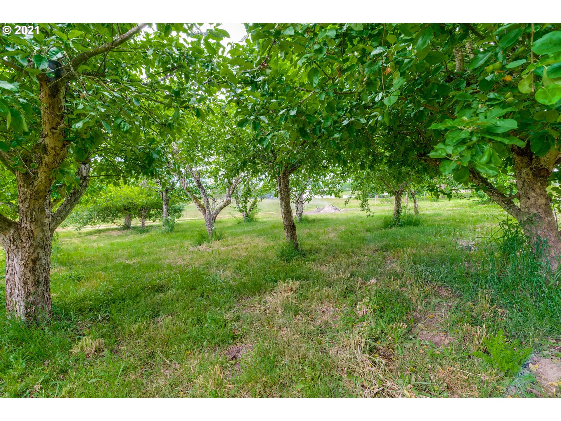 2559 Southwest Dilley Road Forest Grove, OR 97116 - Photo 32 of 32 a view of grassy field with benches