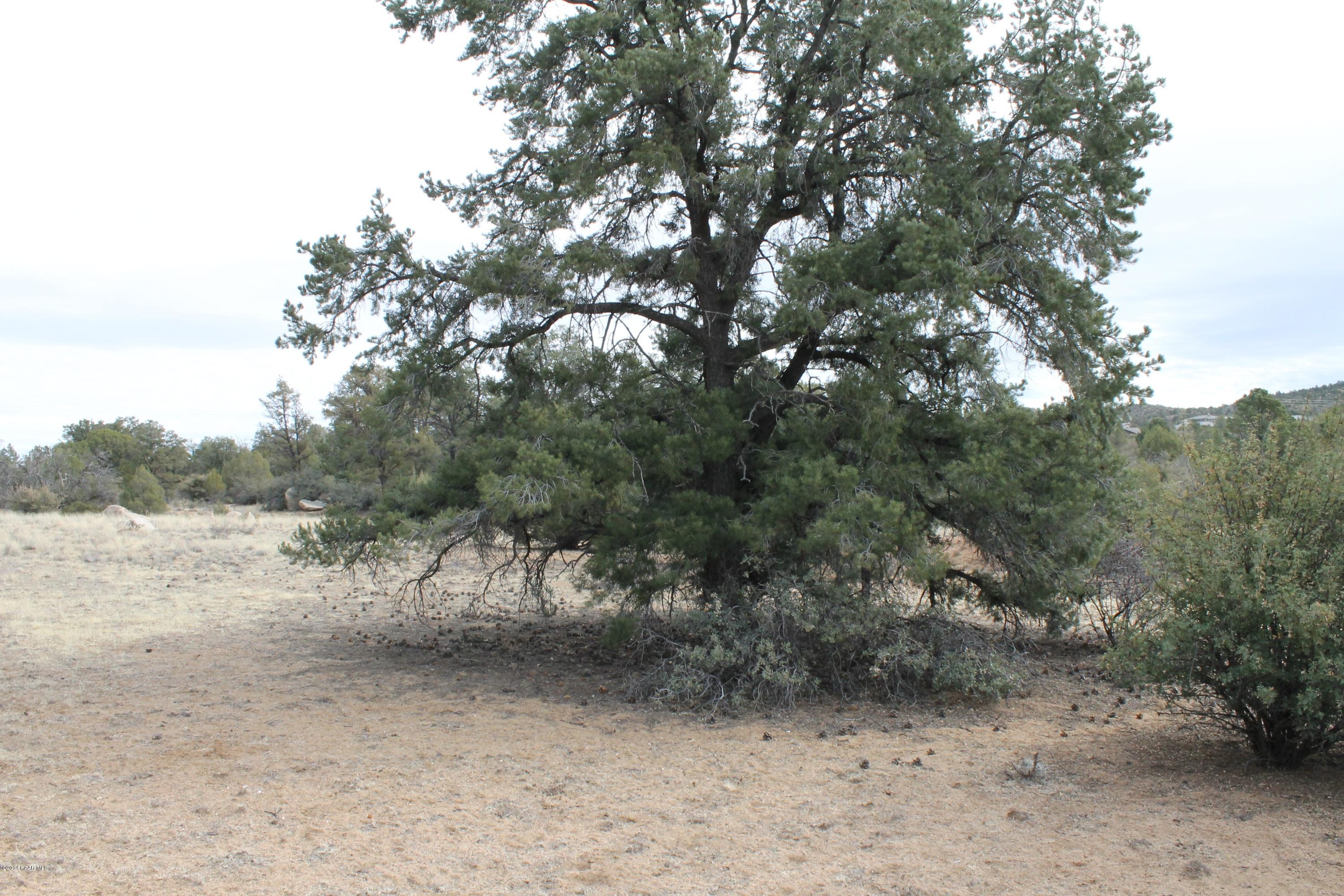 12945 North Electra Road Prescott, AZ 86305 - Photo 4 of 7 IMG_0335