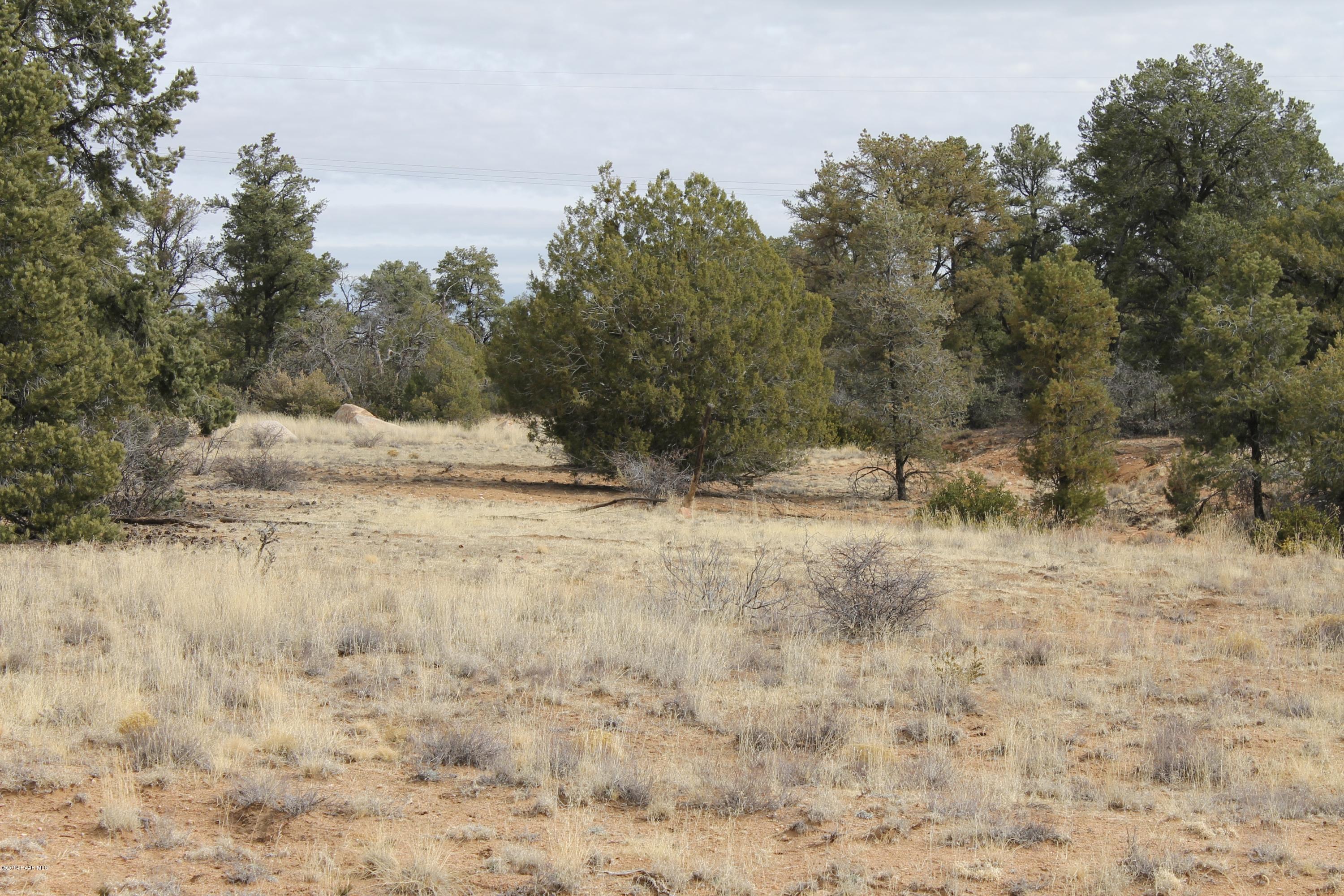 12945 North Electra Road Prescott, AZ 86305 - Photo 5 of 7 IMG_0330