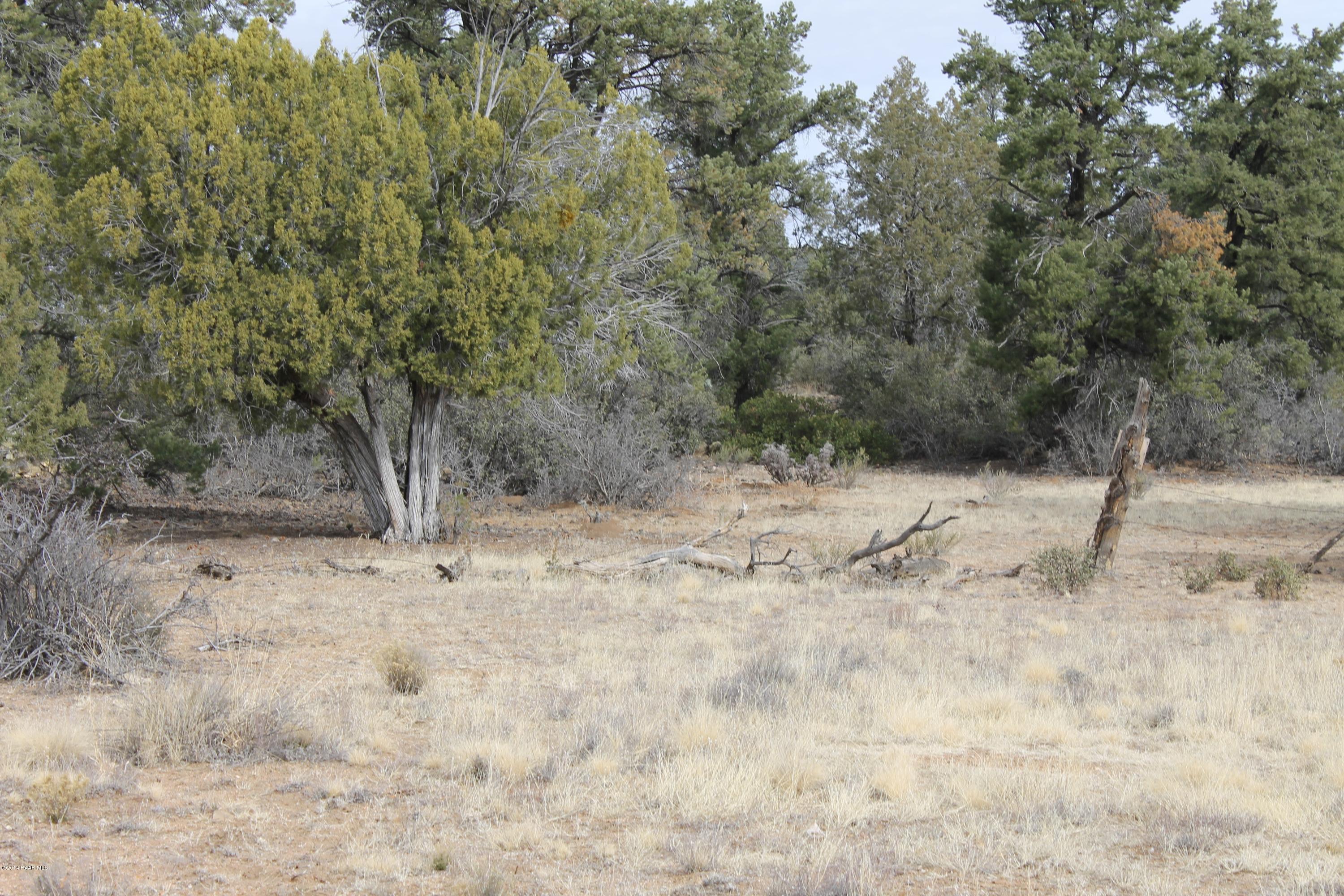 12945 North Electra Road Prescott, AZ 86305 - Photo 6 of 7 IMG_0331