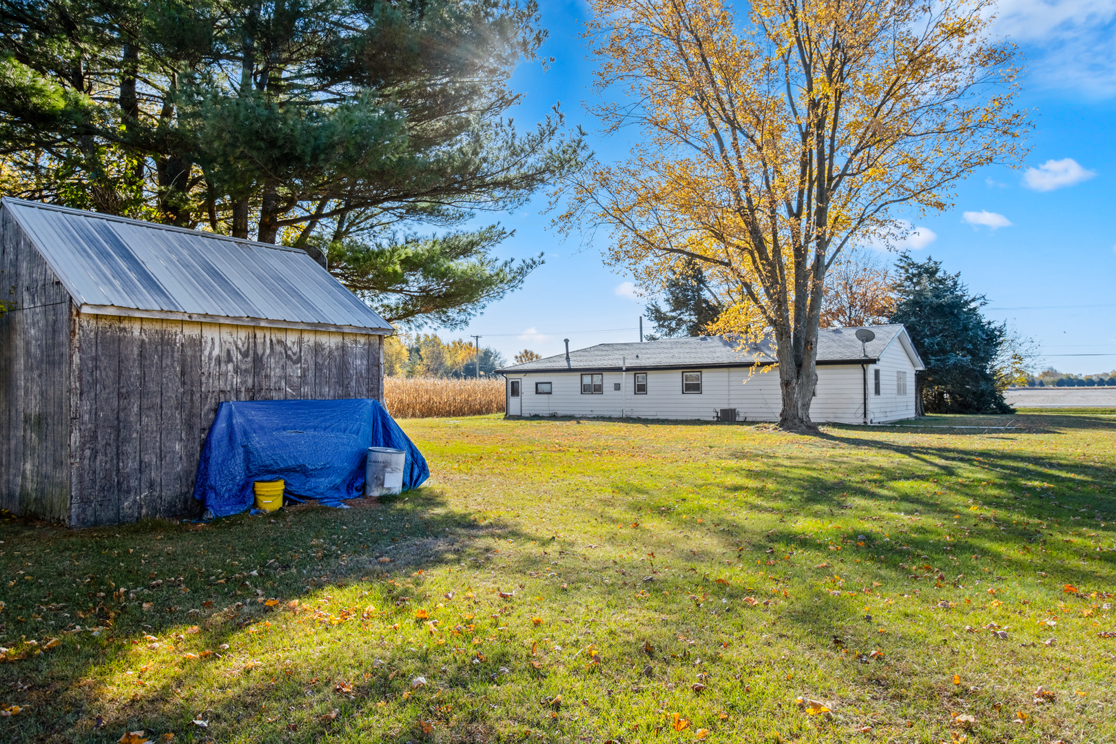 5827 East 3500S Road St. Anne, IL 60964 - Photo 15 of 16 a view of outdoor space yard and house