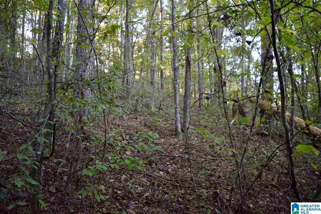 0 Mountain Lake Road, Unit LOT 7 Warrior, AL 35180 - Photo 2 of 11
