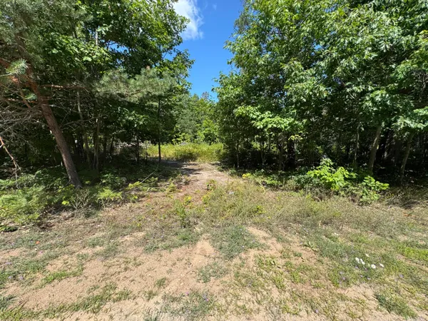 $36,500 | Tbd Daisys Way, Kinross, MI 49752