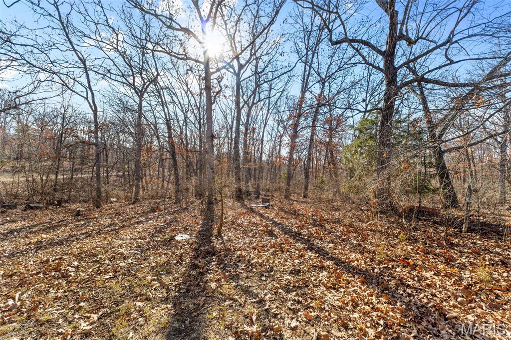 64 Mocking Bird Lane Hawk Point, MO 63349 - Photo 27 of 33