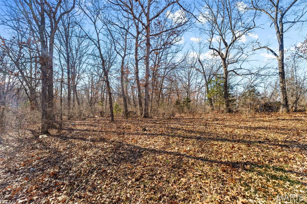 64 Mocking Bird Lane Hawk Point, MO 63349 - Photo 28 of 33