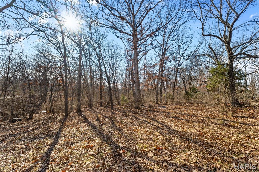 64 Mocking Bird Lane Hawk Point, MO 63349 - Photo 29 of 33