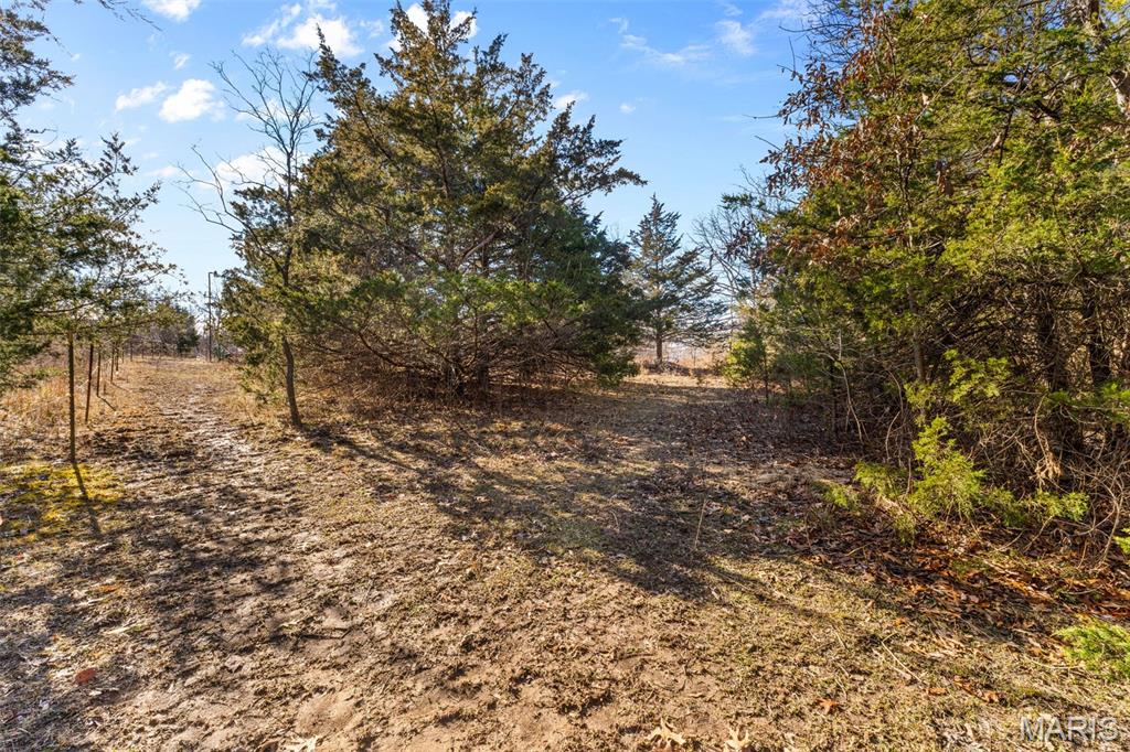 64 Mocking Bird Lane Hawk Point, MO 63349 - Photo 31 of 33