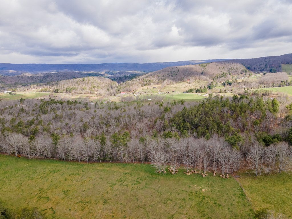 2804 Price Ridge Road Bland, VA 24315 - Photo 46 of 63 Gallery Image 46