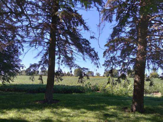5122 North Bennett Road Monroe Center, IL 61052 - Photo 27 of 29 a view of a trees