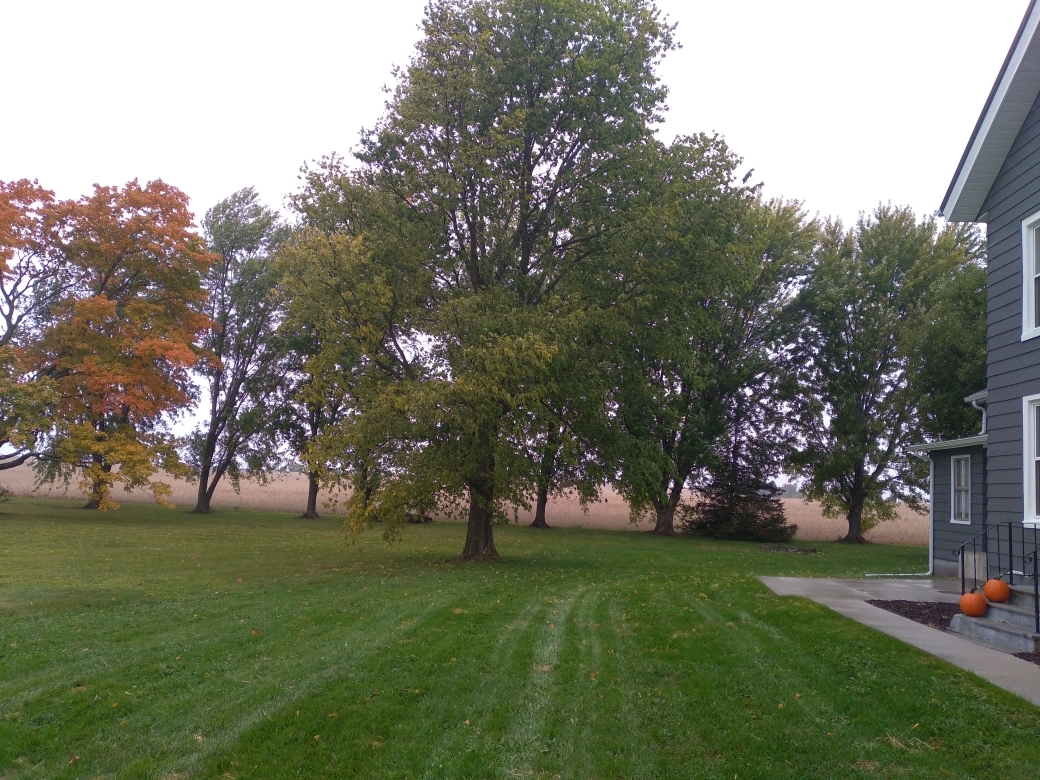 5122 North Bennett Road Monroe Center, IL 61052 - Photo 29 of 29 a huge green field with lots of trees