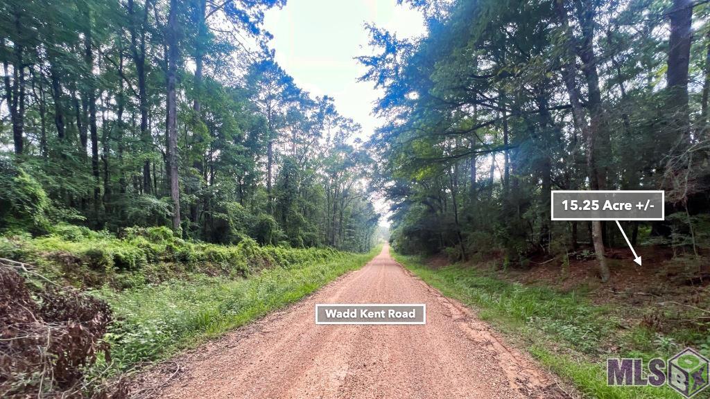 Tbd Wadd Kent Road Clinton, LA 70722 - Photo 11 of 27