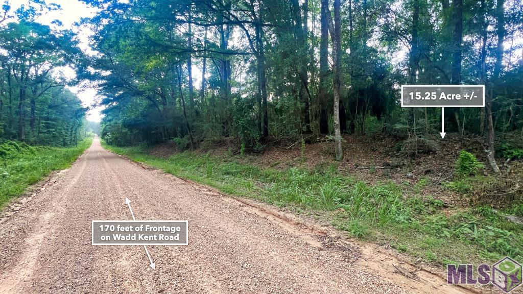 Tbd Wadd Kent Road Clinton, LA 70722 - Photo 12 of 27