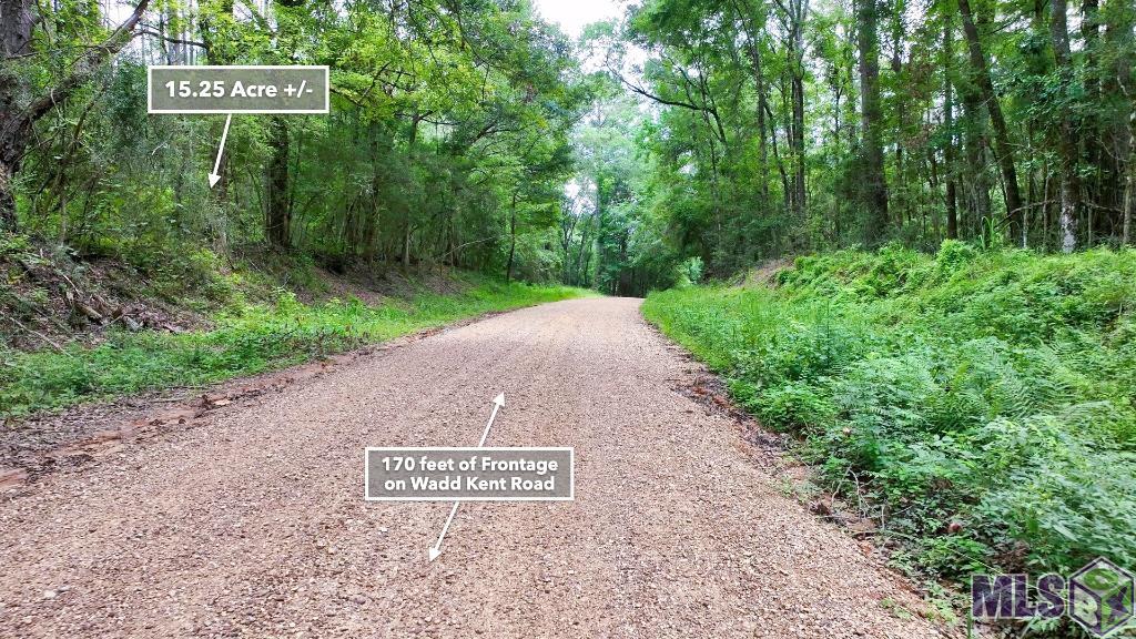 Tbd Wadd Kent Road Clinton, LA 70722 - Photo 15 of 27