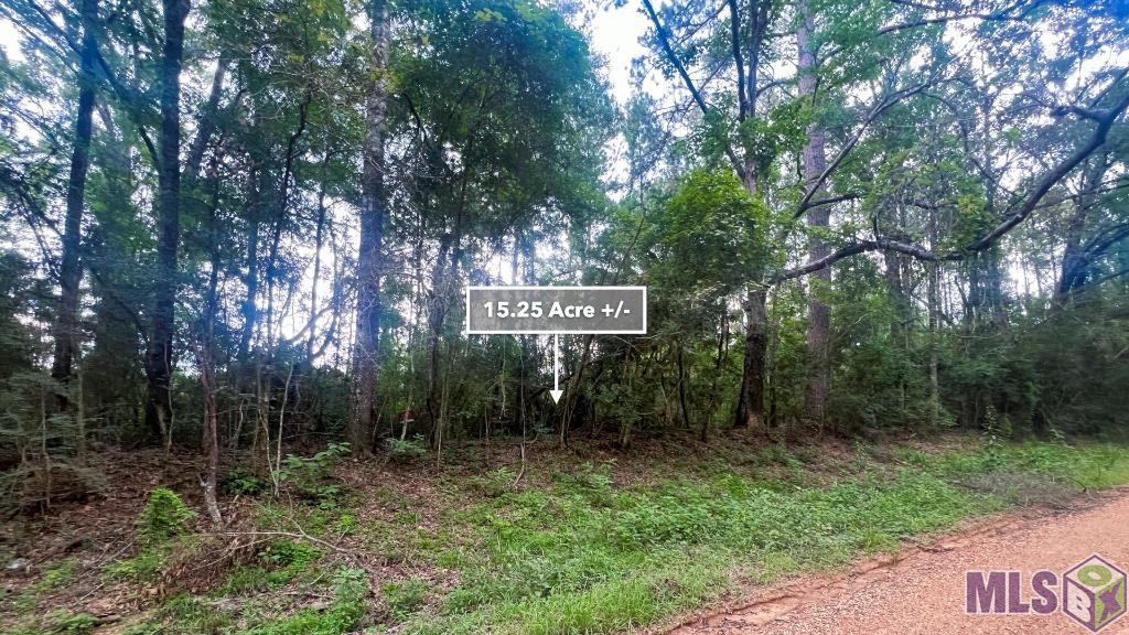 Tbd Wadd Kent Road Clinton, LA 70722 - Photo 16 of 27