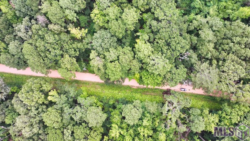 Tbd Wadd Kent Road Clinton, LA 70722 - Photo 17 of 27