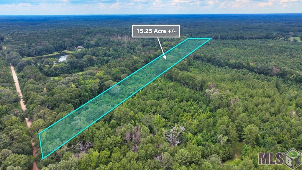 Tbd Wadd Kent Road Clinton, LA 70722 - Photo 18 of 27
