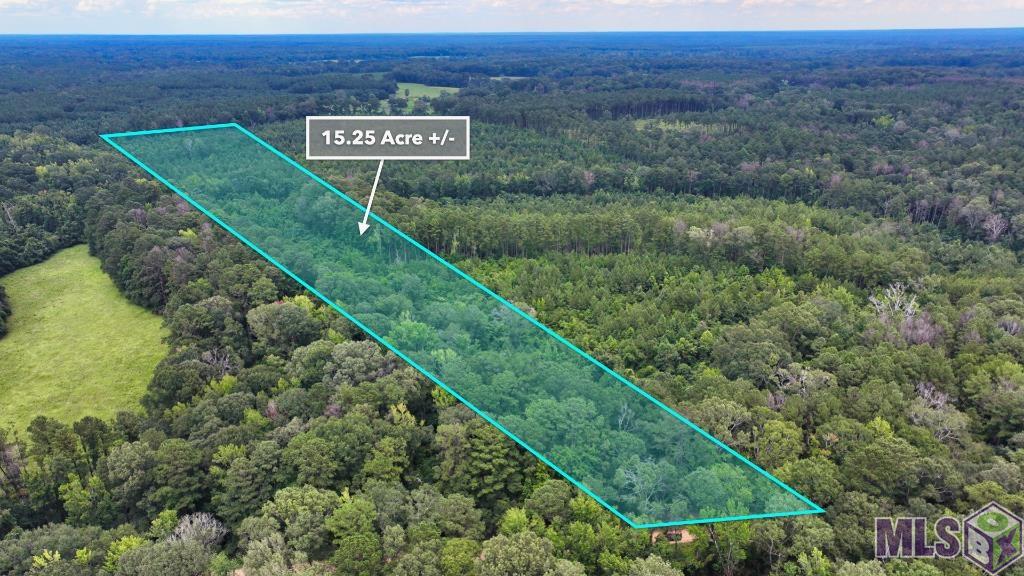 Tbd Wadd Kent Road Clinton, LA 70722 - Photo 19 of 27
