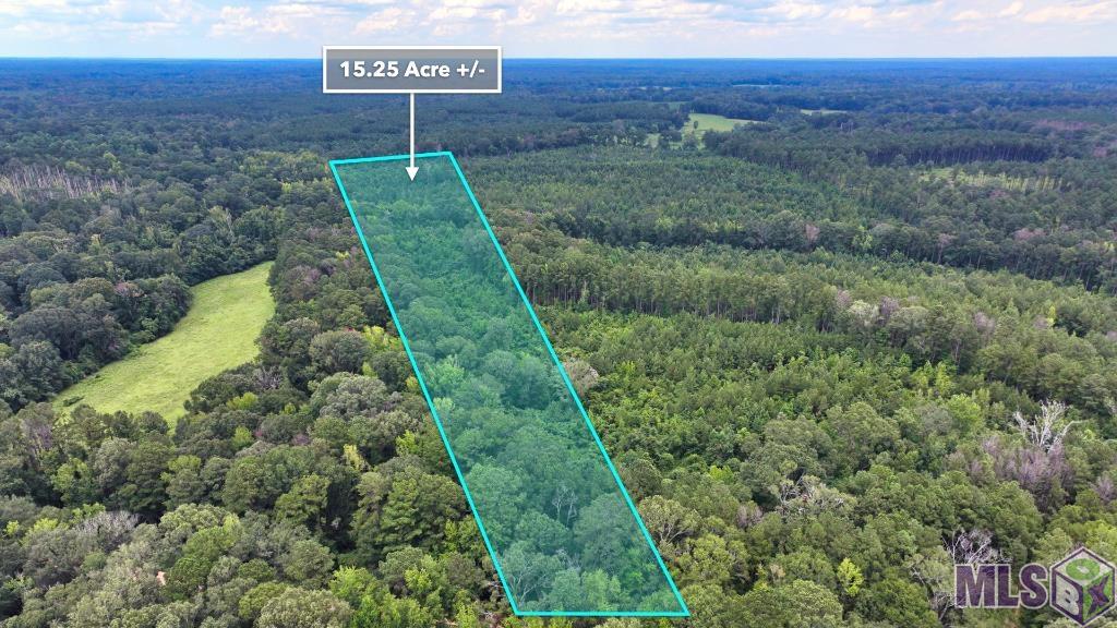 Tbd Wadd Kent Road Clinton, LA 70722 - Photo 20 of 27