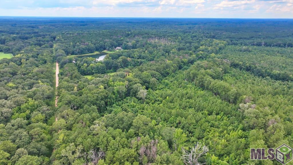 Tbd Wadd Kent Road Clinton, LA 70722 - Photo 22 of 27