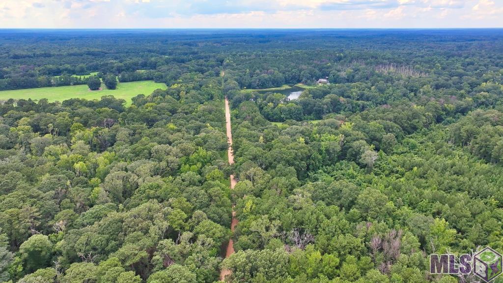 Tbd Wadd Kent Road Clinton, LA 70722 - Photo 23 of 27