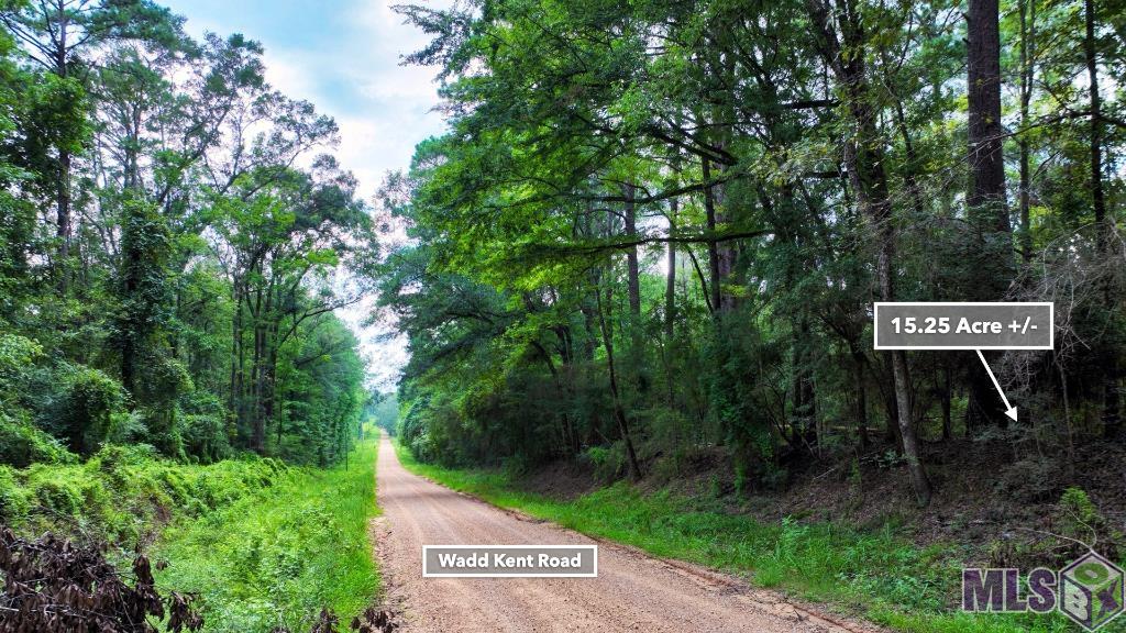Tbd Wadd Kent Road Clinton, LA 70722 - Photo 3 of 27