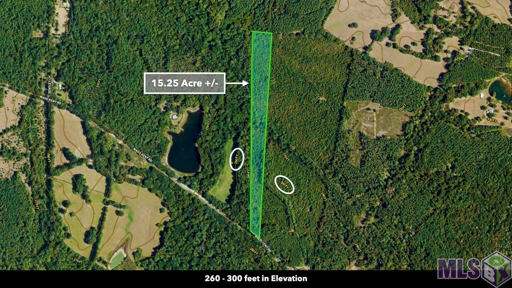 Tbd Wadd Kent Road Clinton, LA 70722 - Photo 6 of 27