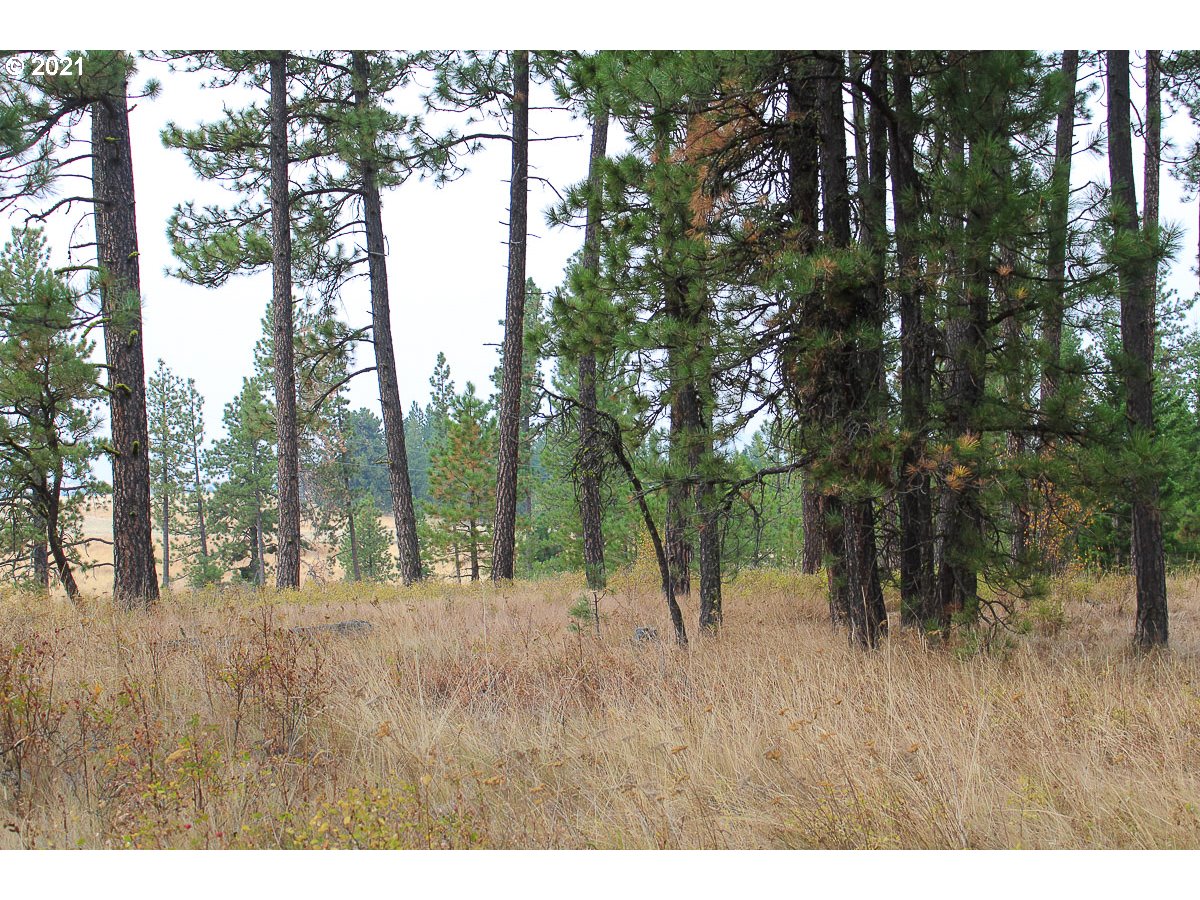 83617 Rye Ridge Road Enterprise, OR 97828 - Photo 12 of 14 Gallery Image 12