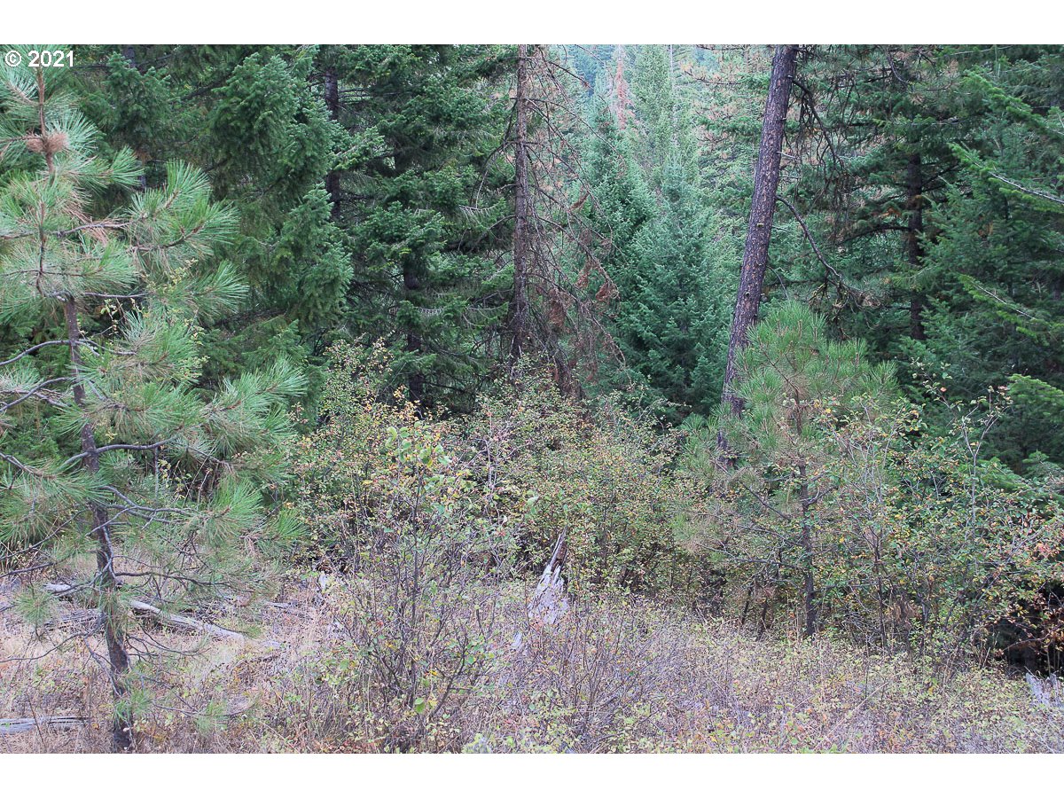 83617 Rye Ridge Road Enterprise, OR 97828 - Photo 13 of 14 Gallery Image 13