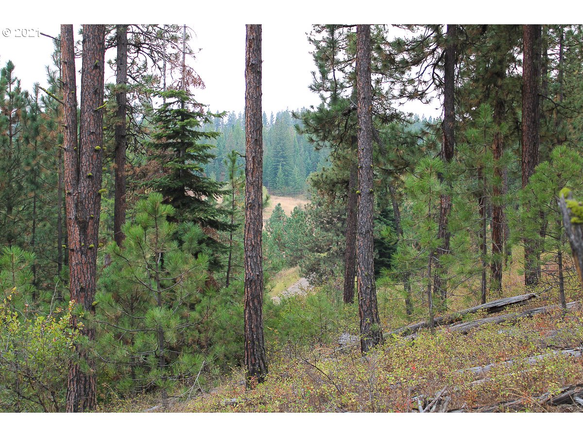 83617 Rye Ridge Road Enterprise, OR 97828 - Photo 14 of 14 Gallery Image 14