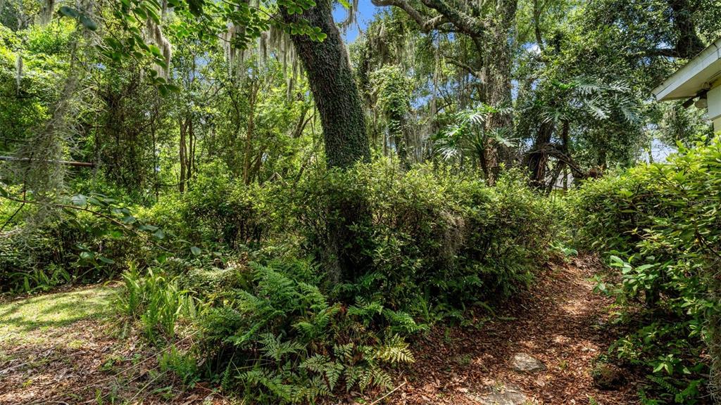 1237 Cardinal Lane DeLand, FL 32720 - Photo 63 of 83